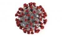 El coronavirus hoy