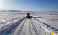 Ruralistas y gobiernos prevén importante mortandad de animales por las nevadas