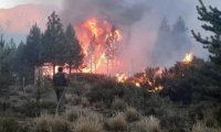 Un paso más al “oscuro reino” del sálvese quien pueda