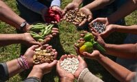 Santa Cruz suma proyectos hacia la soberanía alimentaria