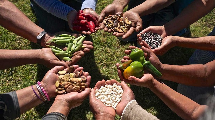 Santa Cruz suma proyectos hacia la soberanía alimentaria