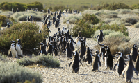 5 lugares para visitar en Río Gallegos