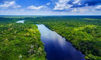 La moda y el medio ambiente, ¿cuales son las marcas vinculadas con la deforestación del Amazonas?